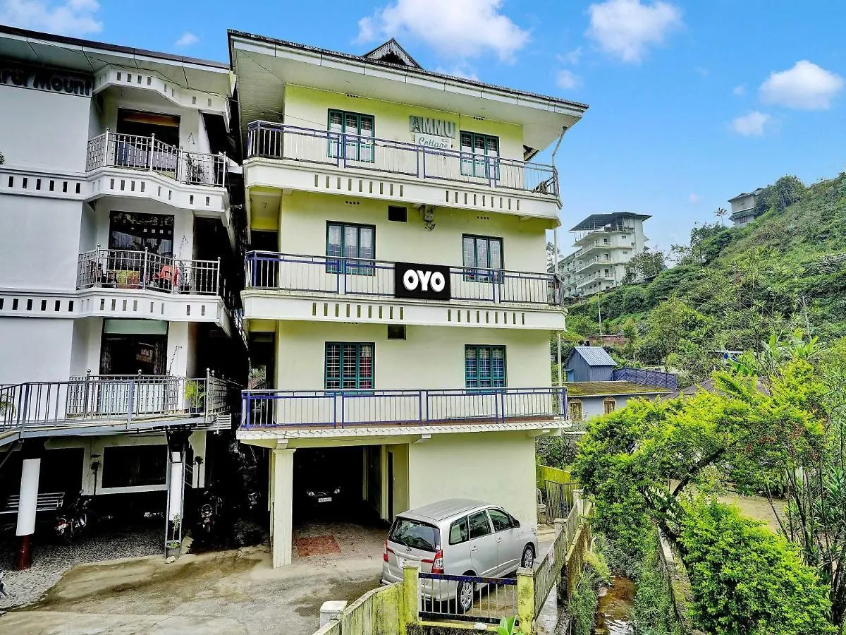 Oyo Flagship Ammu Cottage Munnar 3*,  India